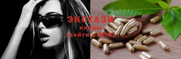 ECSTASY Алзамай