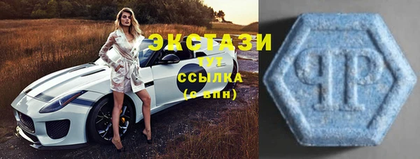 ECSTASY Алзамай