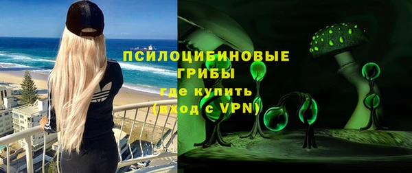 ECSTASY Алзамай