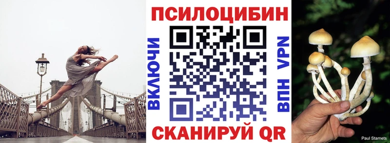 сколько стоит  Дедовск  Псилоцибиновые грибы MAGIC MUSHROOMS 